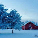 Winter at the Heritage Village - Ed Froese