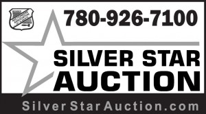 Silver Star Auction